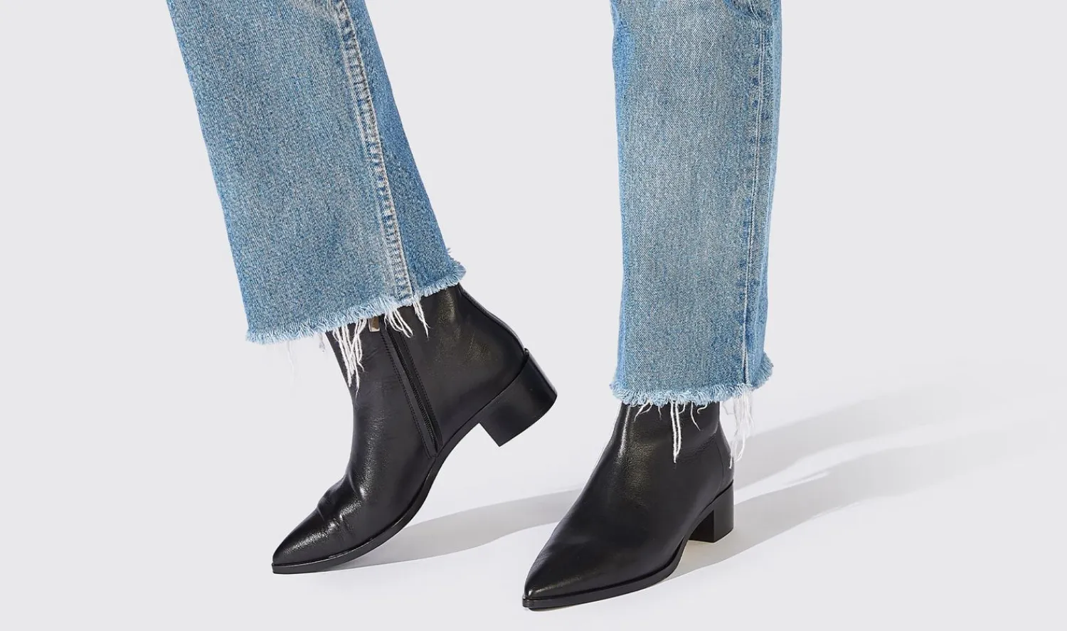 Discount Scarosso Alba Nera Black - Calf