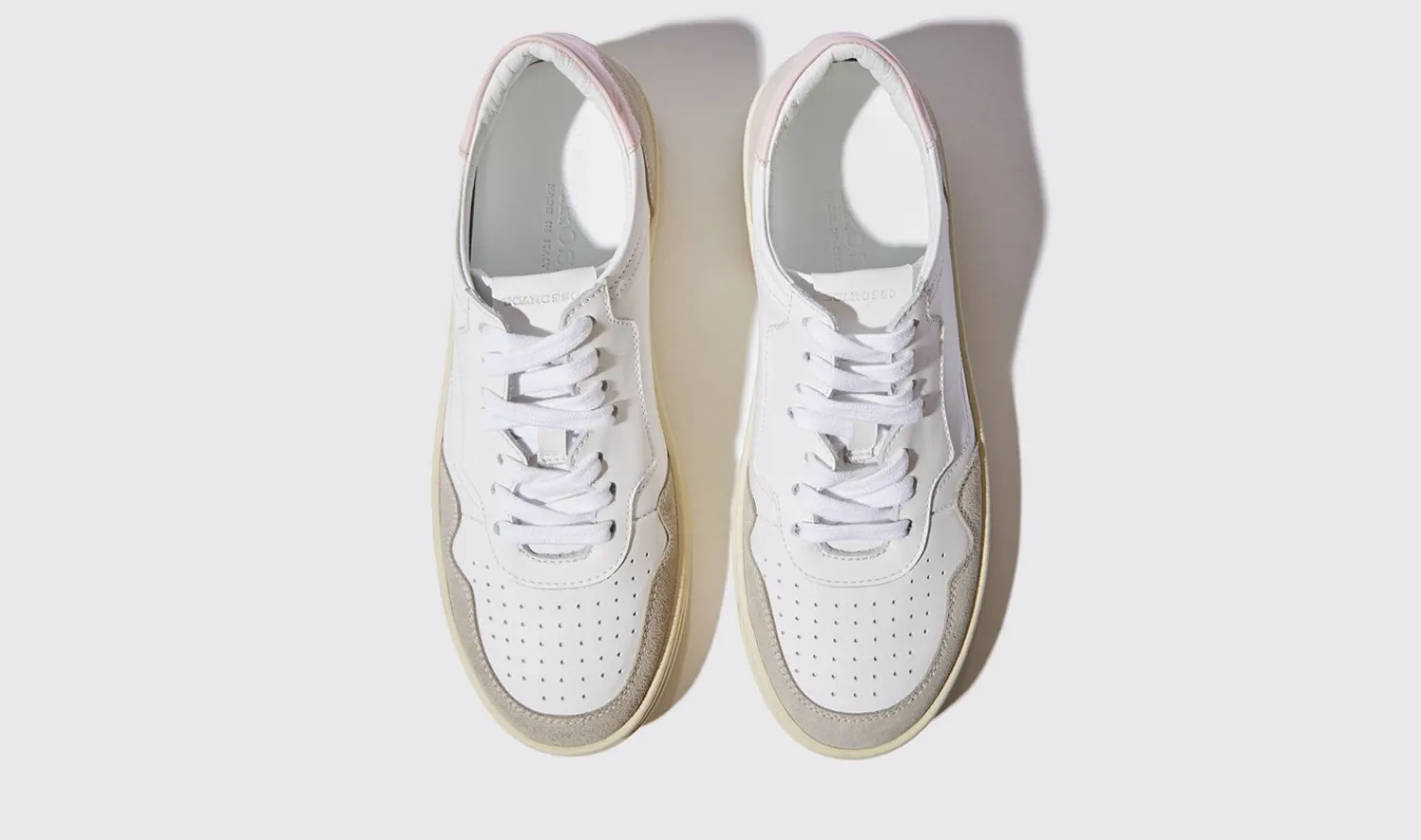 Cheap Scarosso Alexia Pink Edit White/Pink - Calf