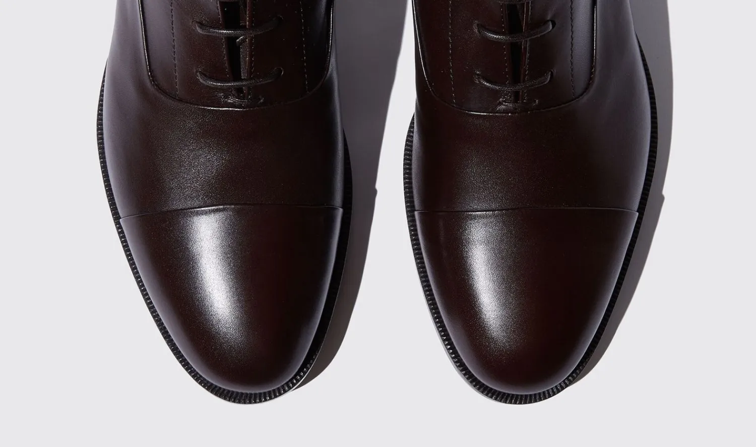 New Scarosso Archie Brown Brown - Calf