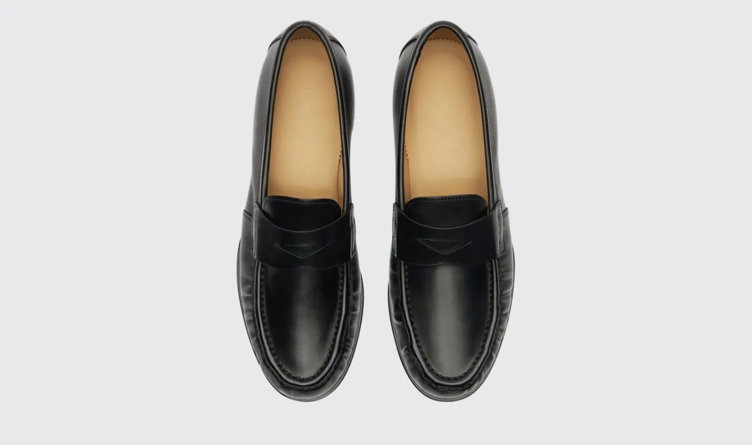 Shop Scarosso Fred Black Black - Calf