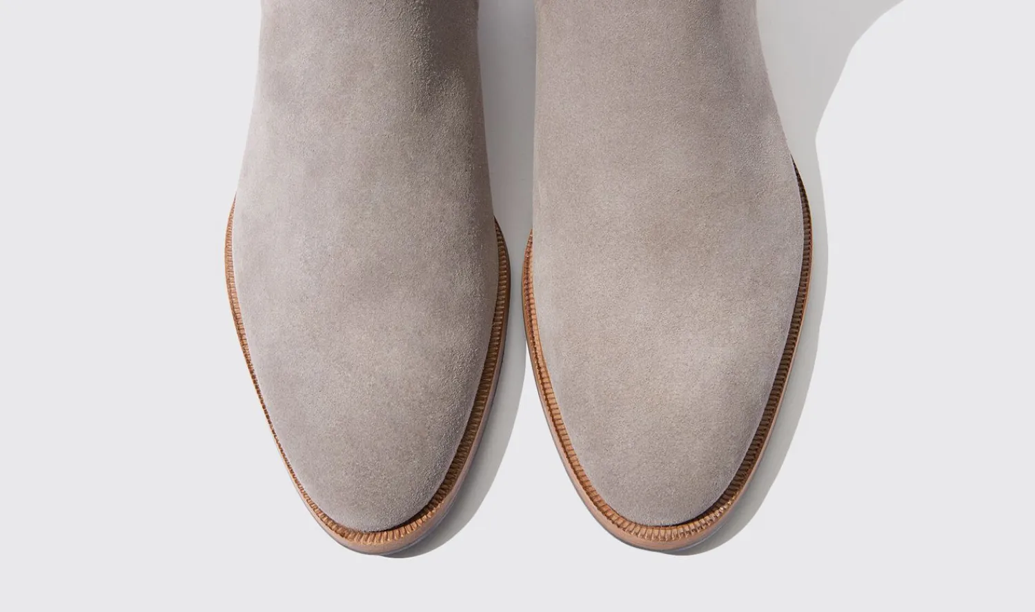 Shop Scarosso Giancarlo Taupe Taupe Suede