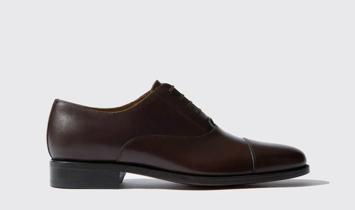 Clearance Scarosso Giove Marrone Dark Brown Calf