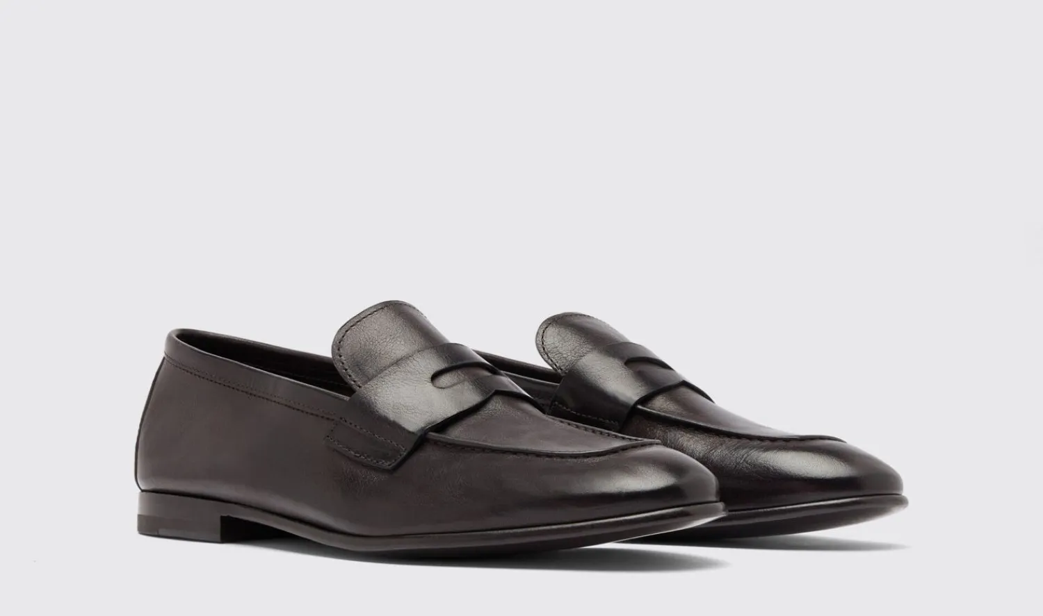 Cheap Scarosso Gregory Dark Brown Dark Brown - Calf