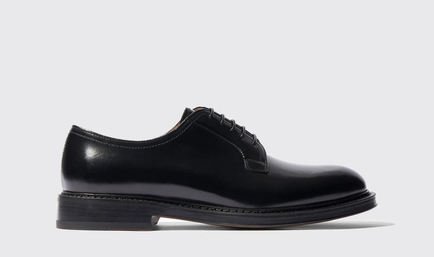 Discount Scarosso Harry Black Black - Calf