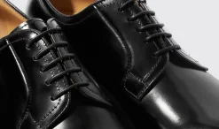 Discount Scarosso Harry Black Black - Calf