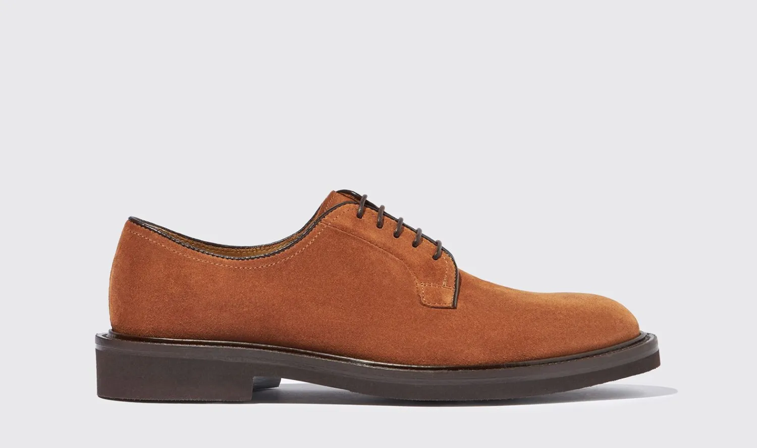 Outlet Scarosso Harry Snuff Suede Brown - Suede