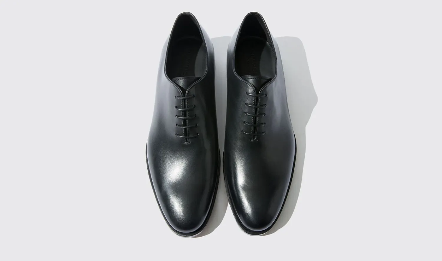 Shop Scarosso Ignazio Black Calf