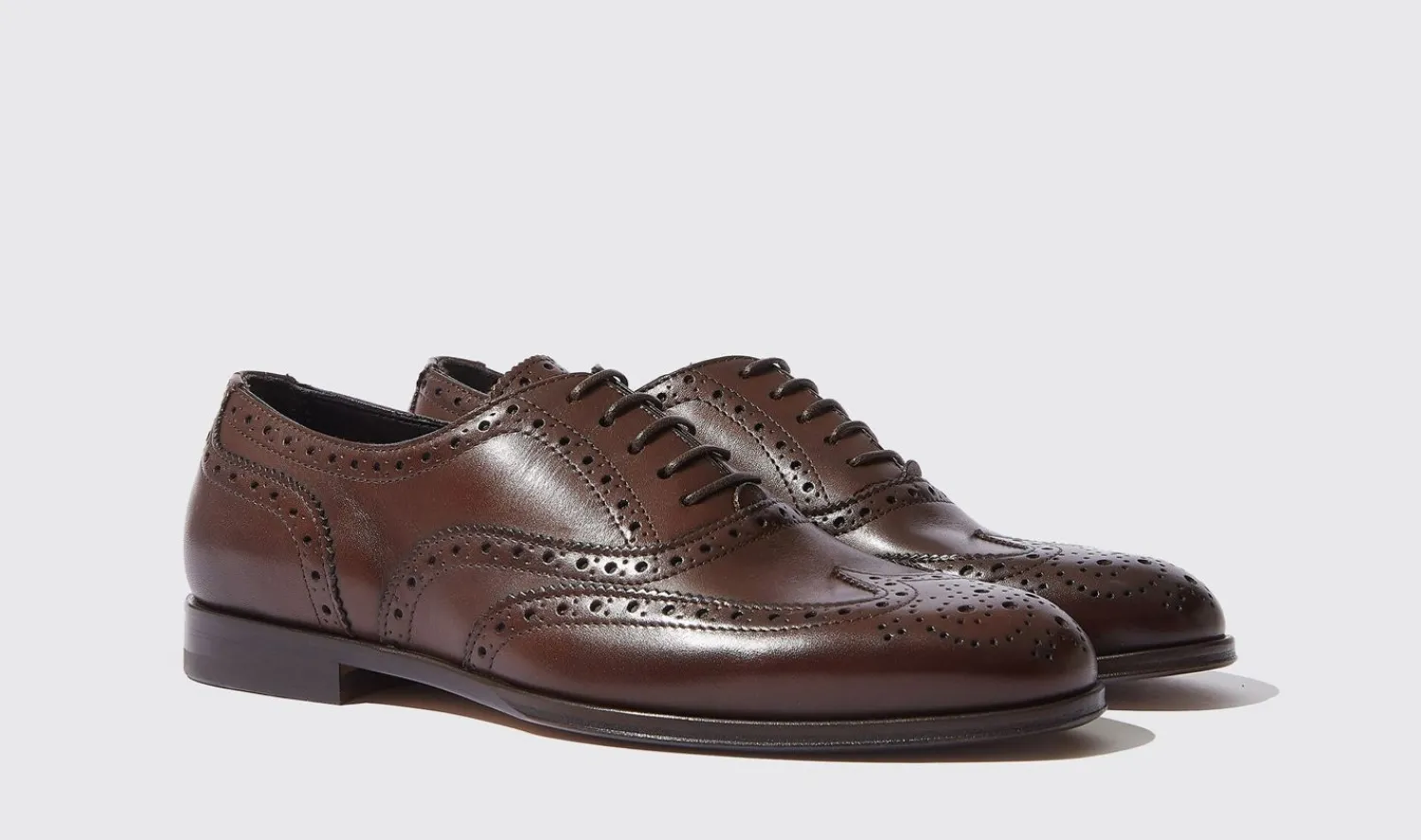 Store Scarosso Judy Brown Brown - Calf