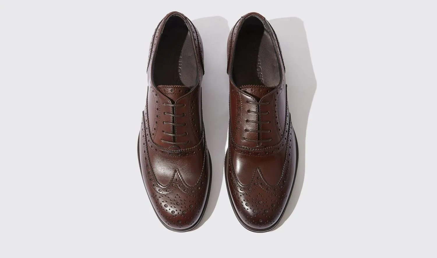 Store Scarosso Judy Brown Brown - Calf