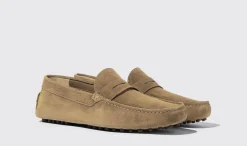 Flash Sale Scarosso Michael Beige Suede Beige - Suede