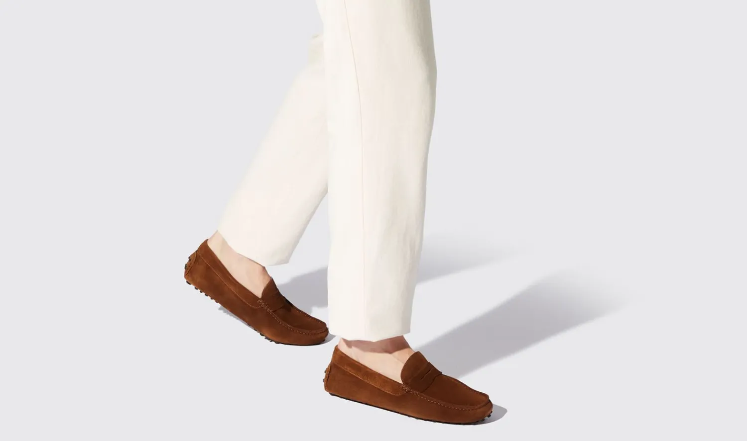 Fashion Scarosso Michael Cigar Suede Brown - Suede