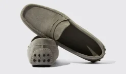 Hot Scarosso Michael Grey Suede Grey - Suede
