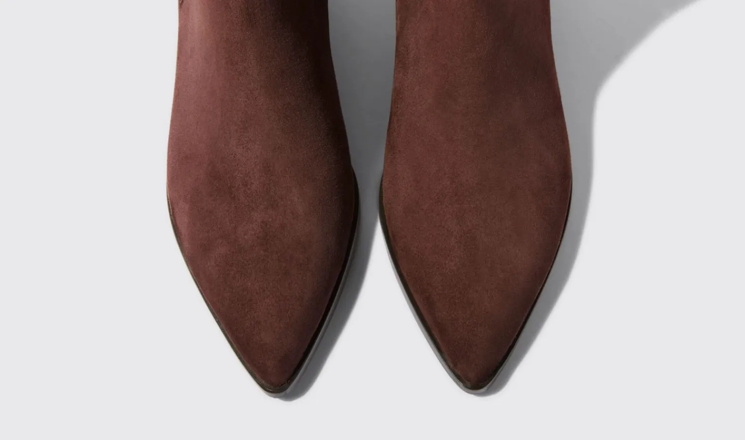 Sale Scarosso Olivia Marrone Scamosciata Brown - Suede
