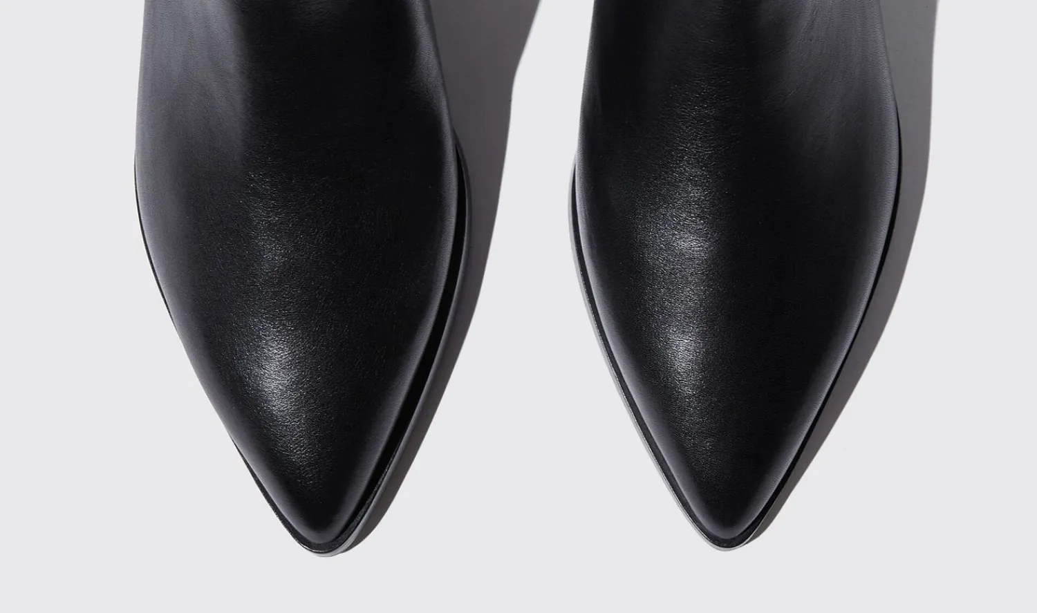 Outlet Scarosso Olivia Nera Black - Calf