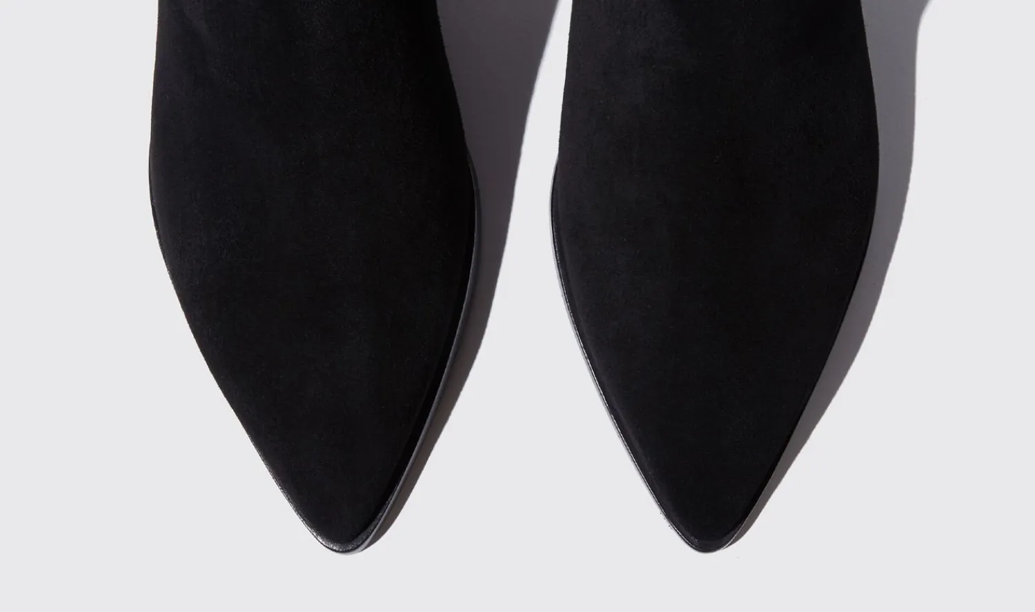 Fashion Scarosso Olivia Nera Scamosciata Black - Suede