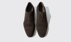 Shop Scarosso Roberto Dark Brown Suede