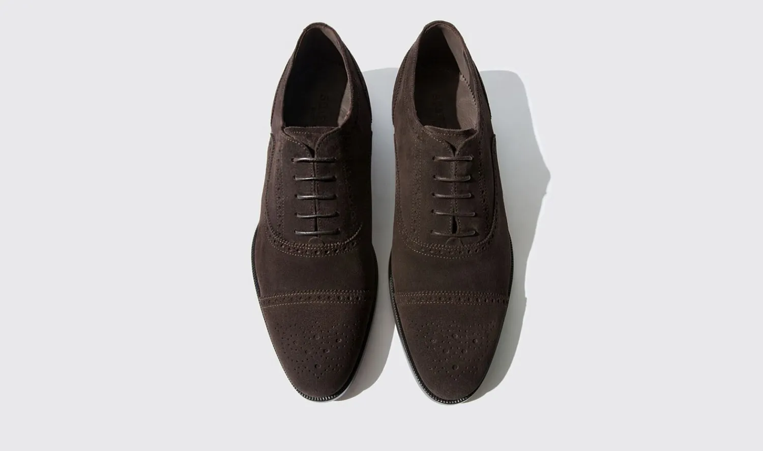 Shop Scarosso Roberto Dark Brown Suede