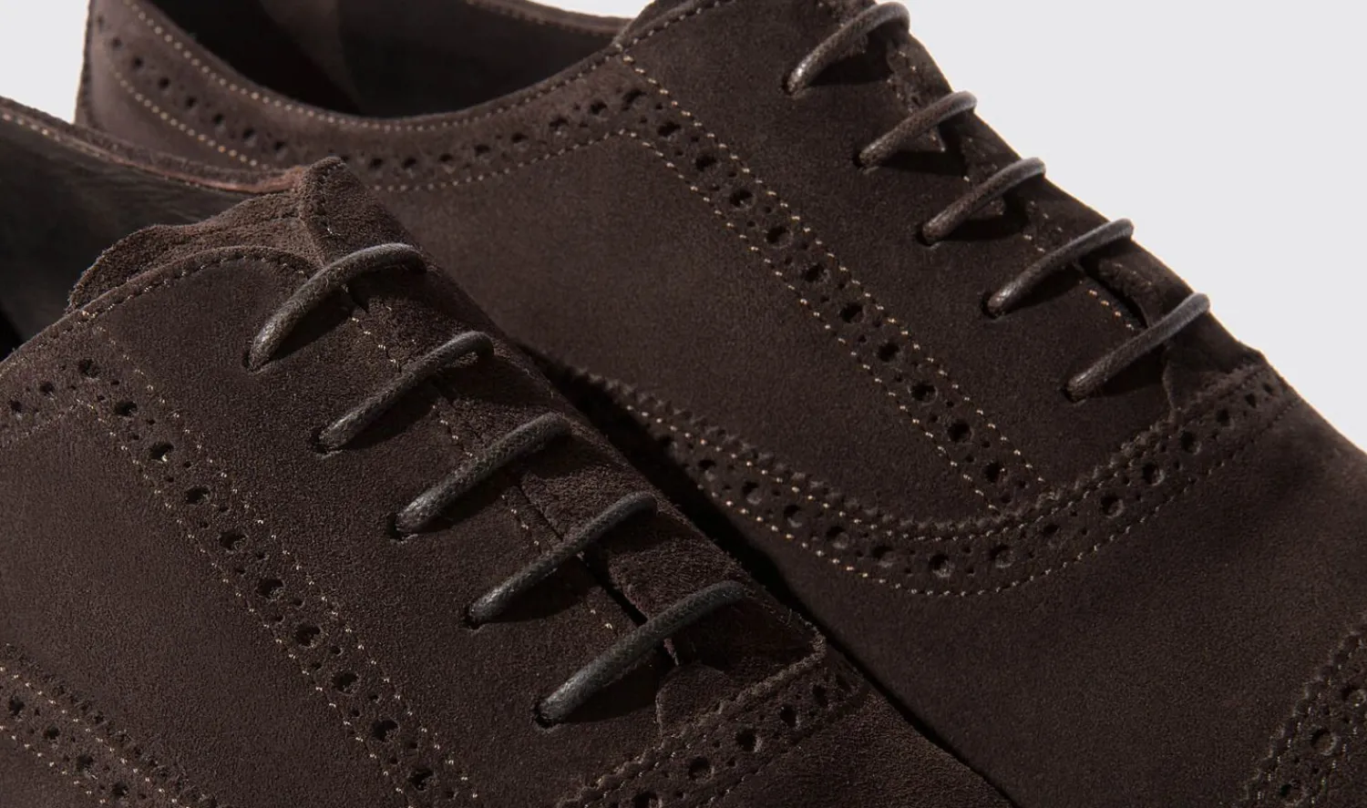 Shop Scarosso Roberto Dark Brown Suede