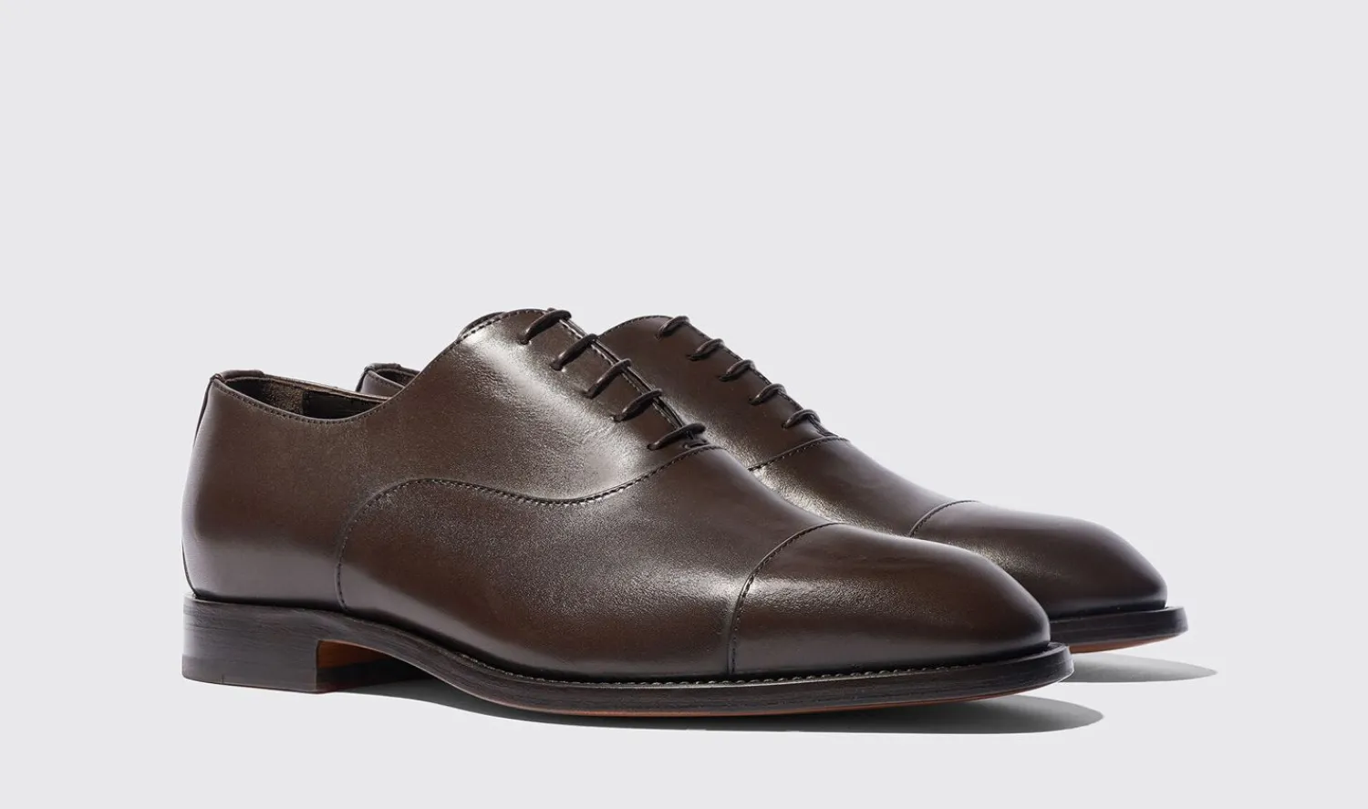 Cheap Scarosso Salvatore Brown Brown - Calf