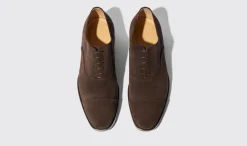 Shop Scarosso Salvatore Brown Suede Brown - Suede