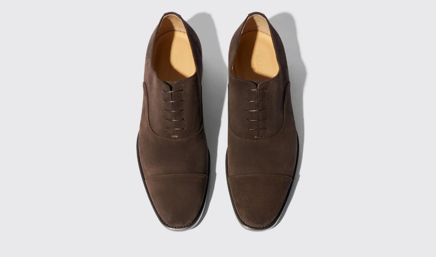 Shop Scarosso Salvatore Brown Suede Brown - Suede