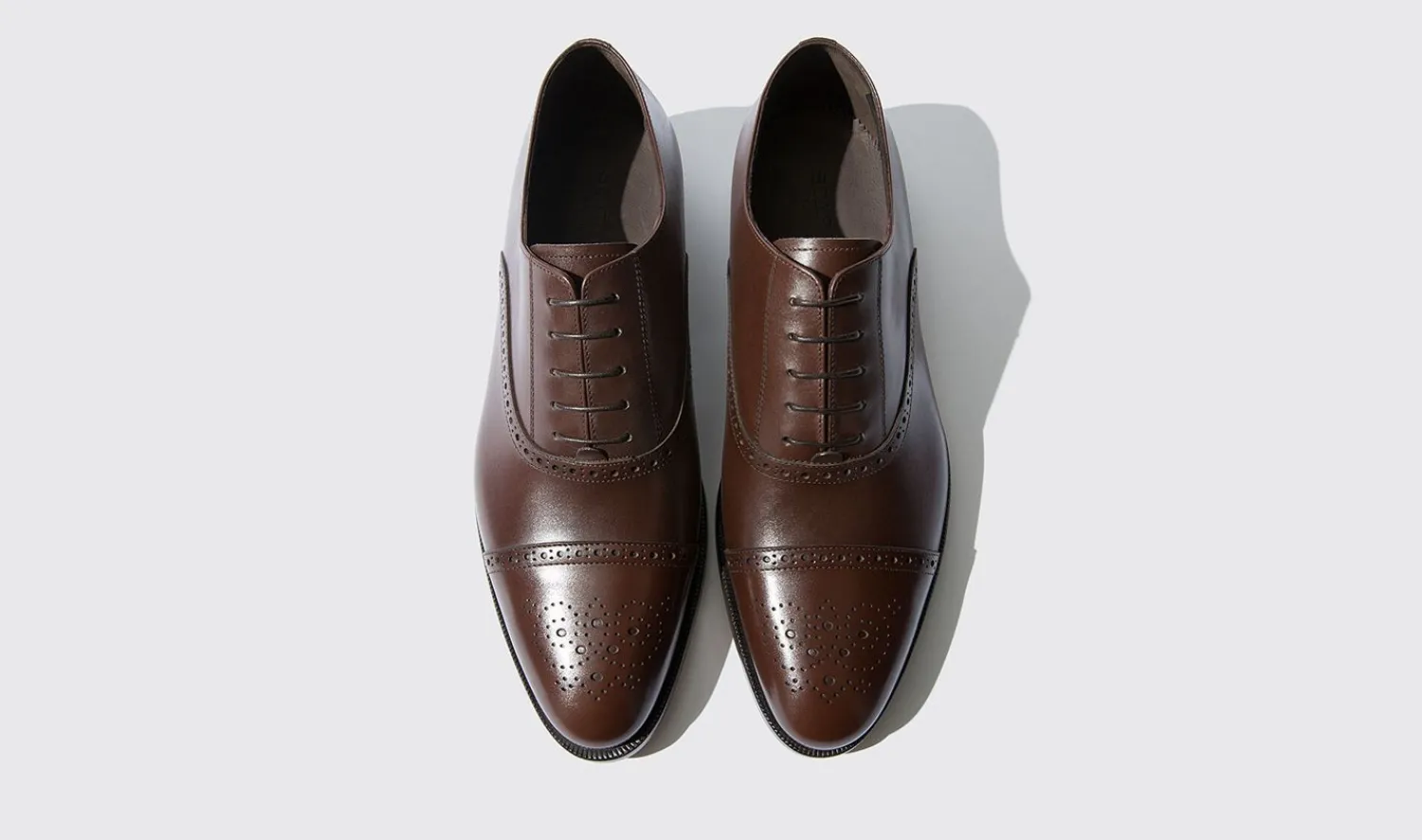 Cheap Scarosso Silvio Dark Brown Calf
