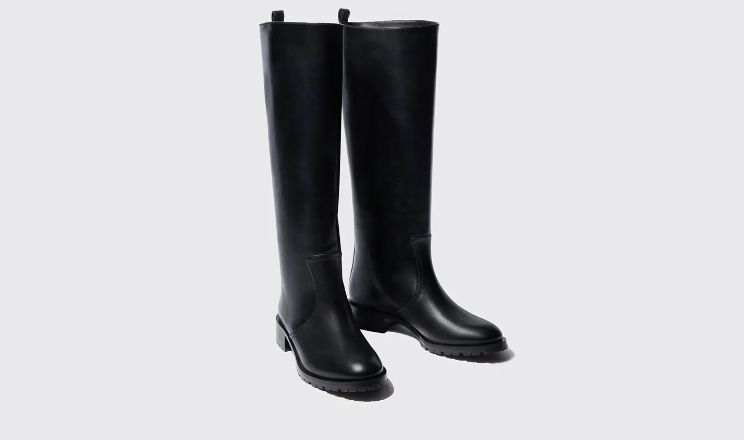 New Scarosso Sofia Black Black - Calf
