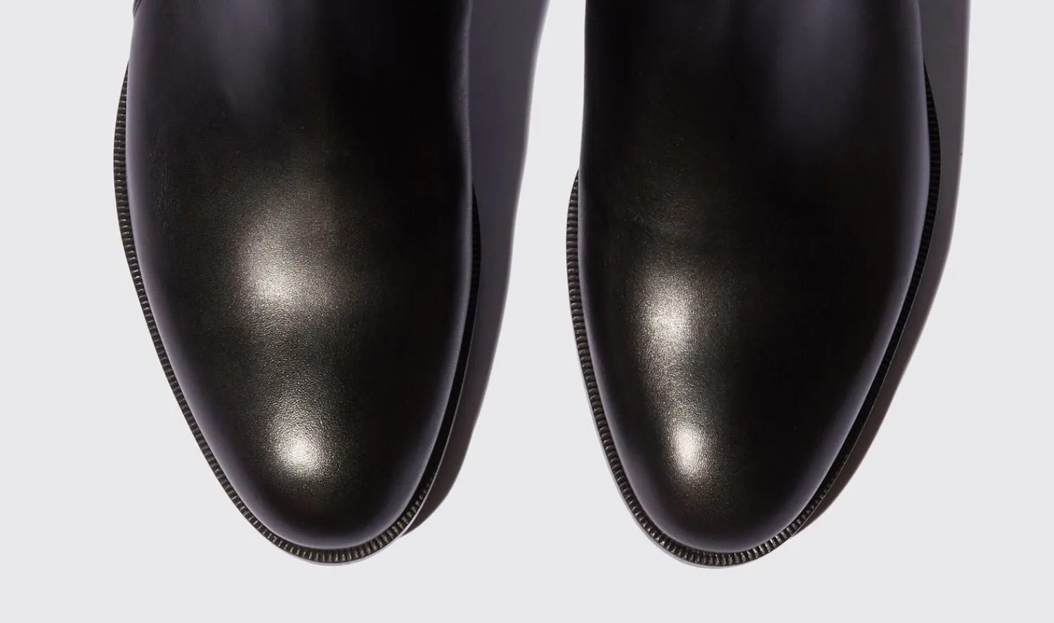Fashion Scarosso Taylor Black Black - Calf