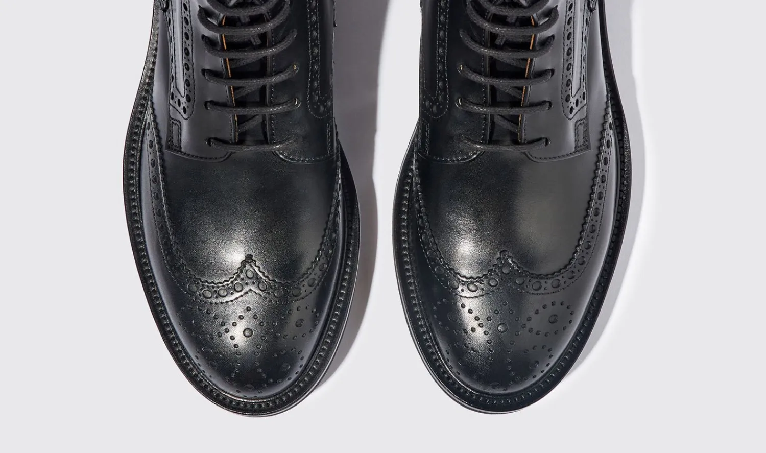 Fashion Scarosso Thomas Black Black - Calf