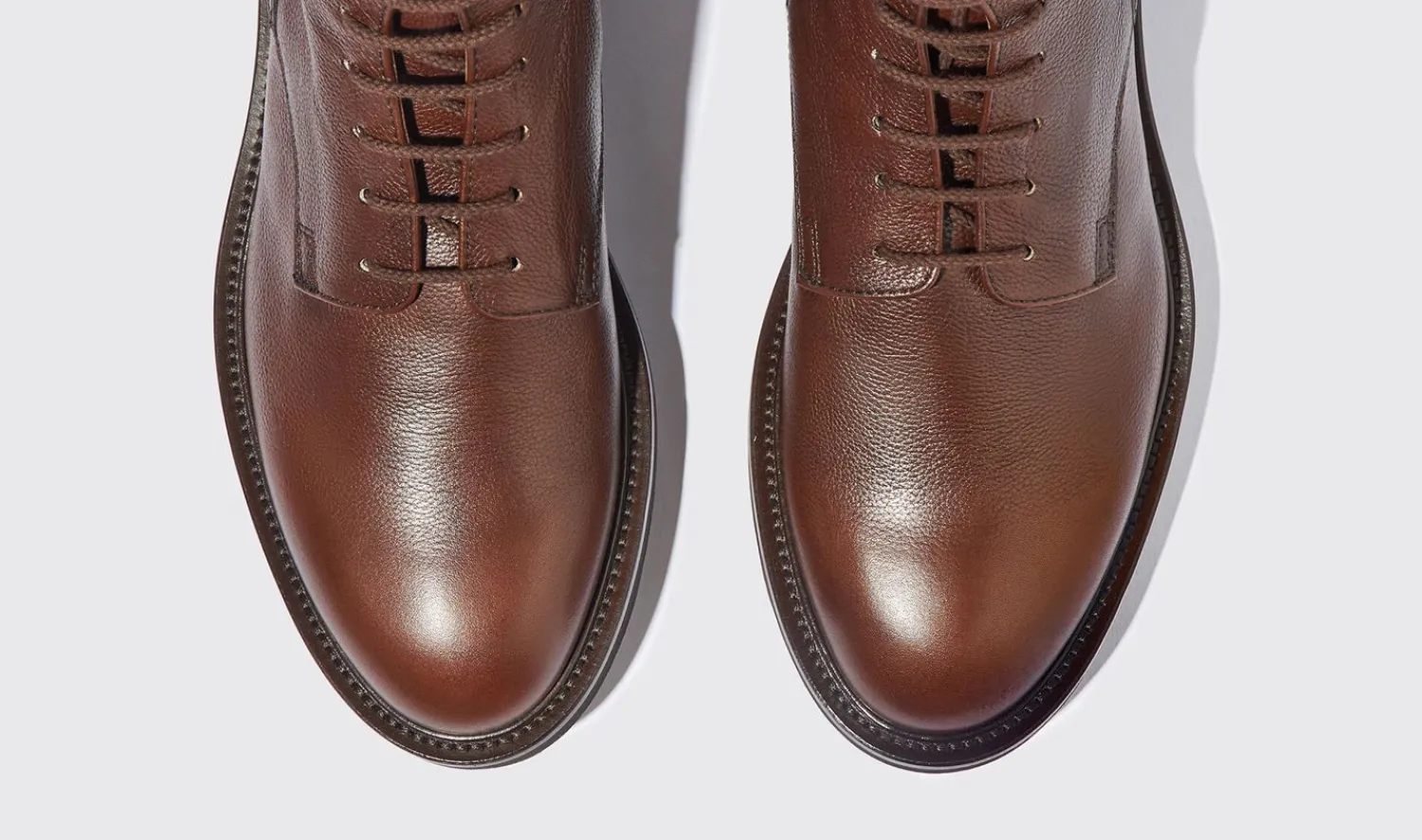 Online Scarosso Thomas Brown Grain Brown Grain - Calf