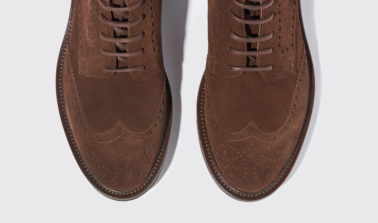 Store Scarosso Thomas Brown Suede Brown - Suede