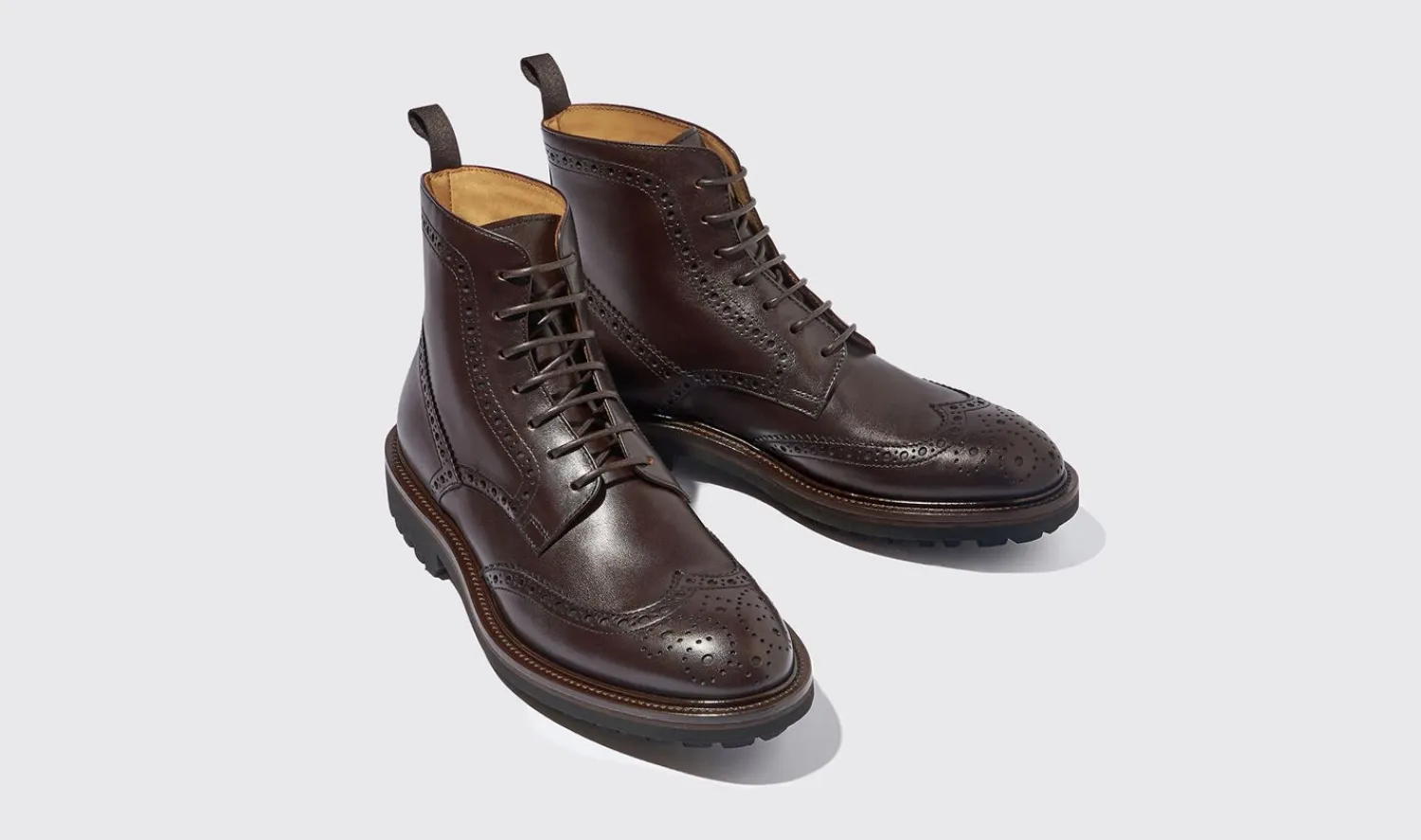 Online Scarosso Thomas Dark Brown Dark Brown - Calf