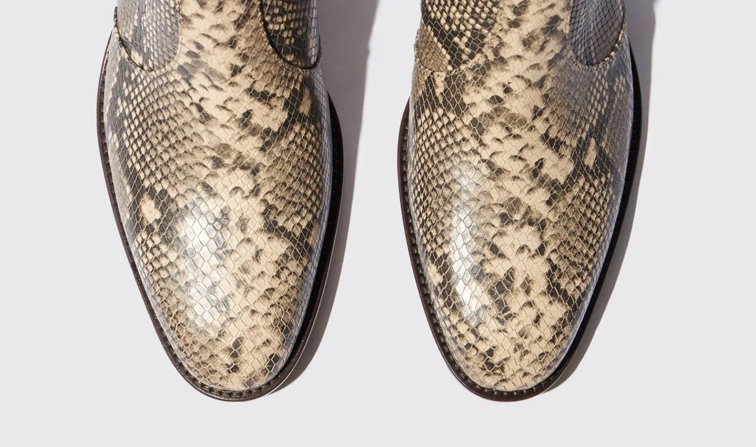 Cheap Scarosso Warren Python Beige - Python-Printed Calf