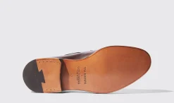 Online Scarosso William Brown Brown - Calf