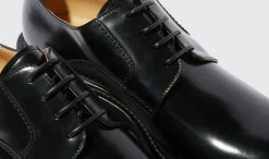 New Scarosso Wooster Iii Black Black - Brushed Calf
