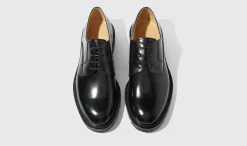 New Scarosso Wooster Iii Black Black - Brushed Calf