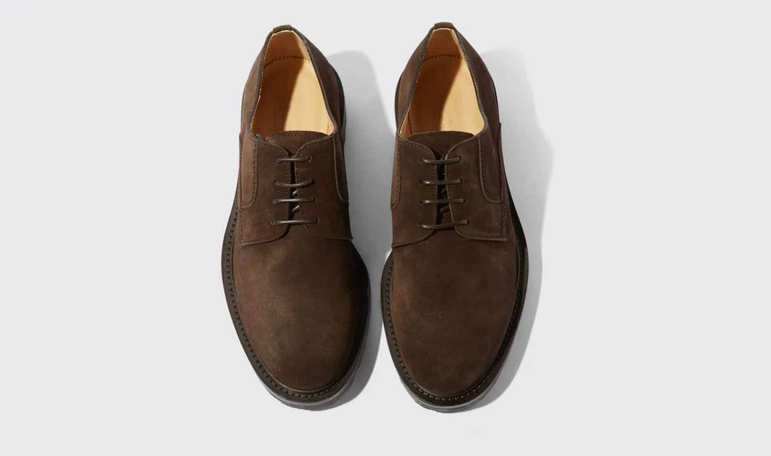 New Scarosso Wooster Iii Brown Suede Brown - Suede